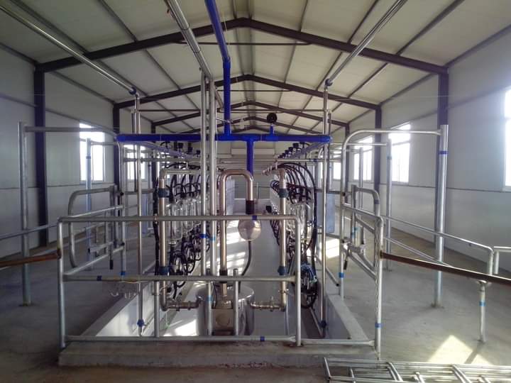 Large Image 3