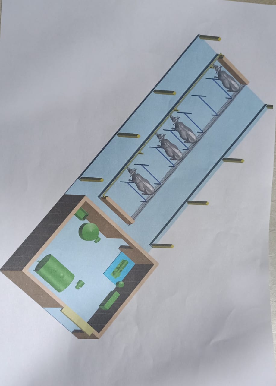 Large Image 3